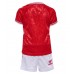 Denmark Replica Home Minikit Euro 2024 Short Sleeve (+ pants)